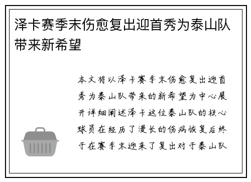 泽卡赛季末伤愈复出迎首秀为泰山队带来新希望 泽卡赛季末伤愈复出迎首秀为泰山队带来新希望